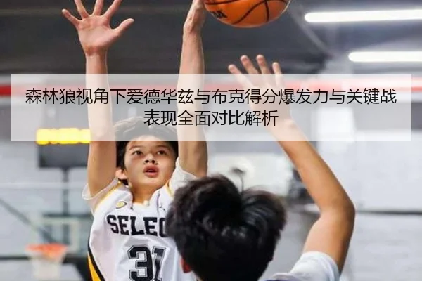 森林狼视角下爱德华兹与布克得分爆发力与关键战表现全面对比解析